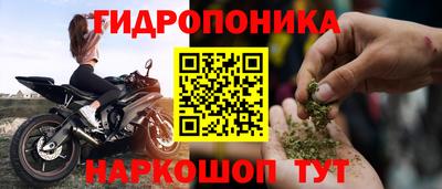 крисы Бийск