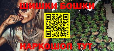 крисы Бийск