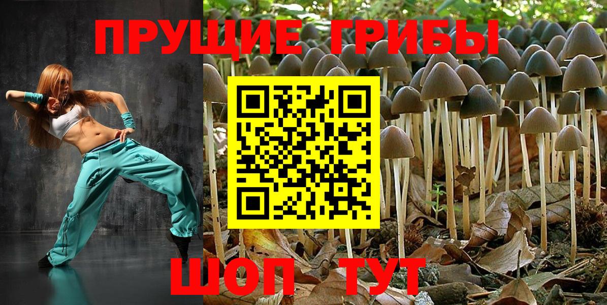 Галлюциногенные грибы ЛСД Кумертау