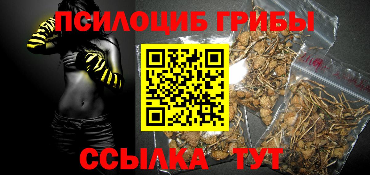 Кумертау  Галлюциногенные грибы MAGIC MUSHROOMS  Вход с VPN 