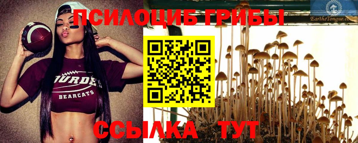 Галлюциногенные грибы GOLDEN TEACHER Кумертау